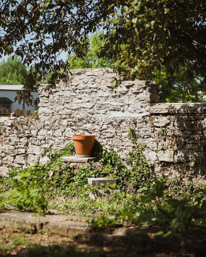 The Mansion At Elfindale Springfield Exterior foto